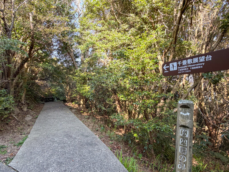 Naruto Observation Point 