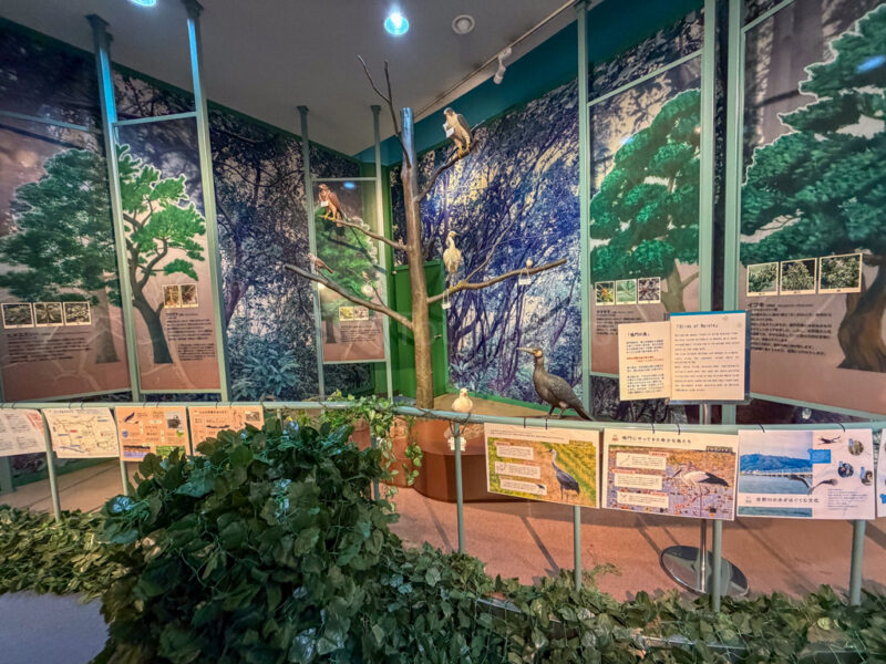 inside the eddy onaruto memorial hall  