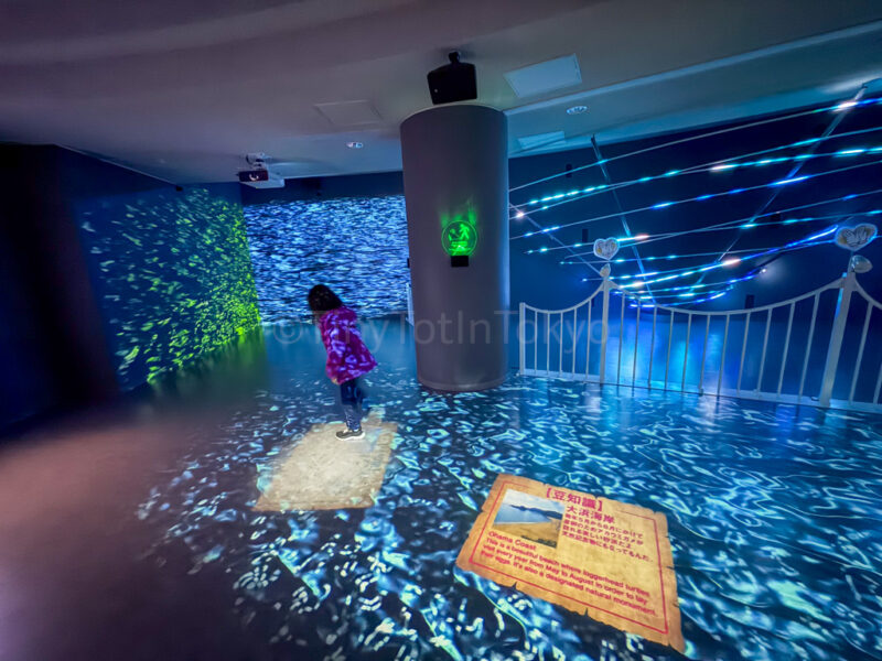 projections at Eddy Onaruto Bridge Memorial Hall