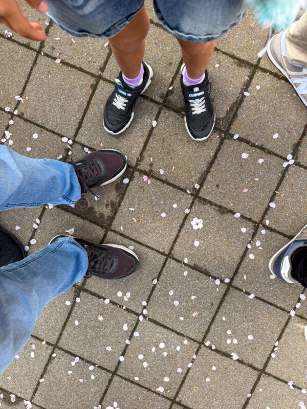 shoes for PokePark Kanto