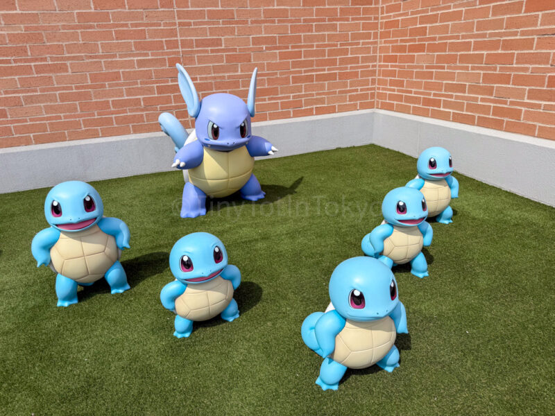 squirtle at pokepark kanto