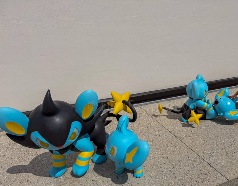 luxio pokemon at pokepark kanto