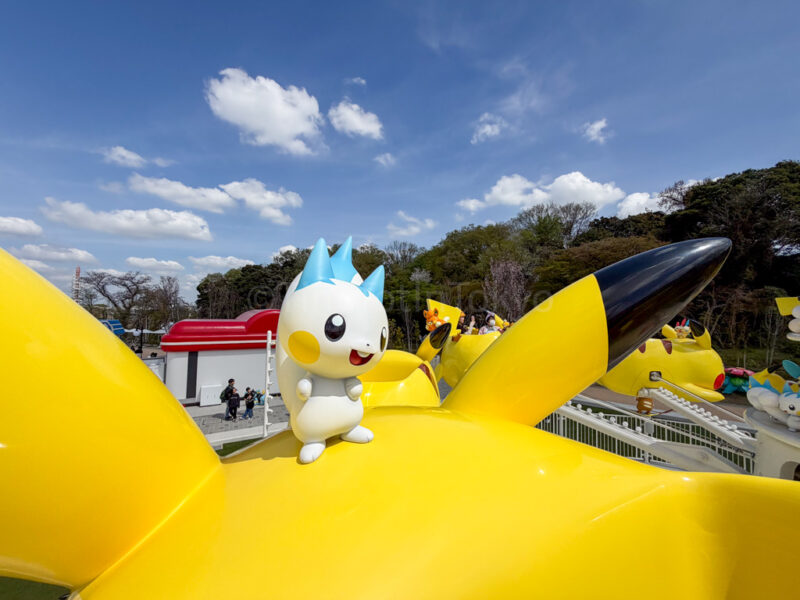 pachirisu at pokepark kanto