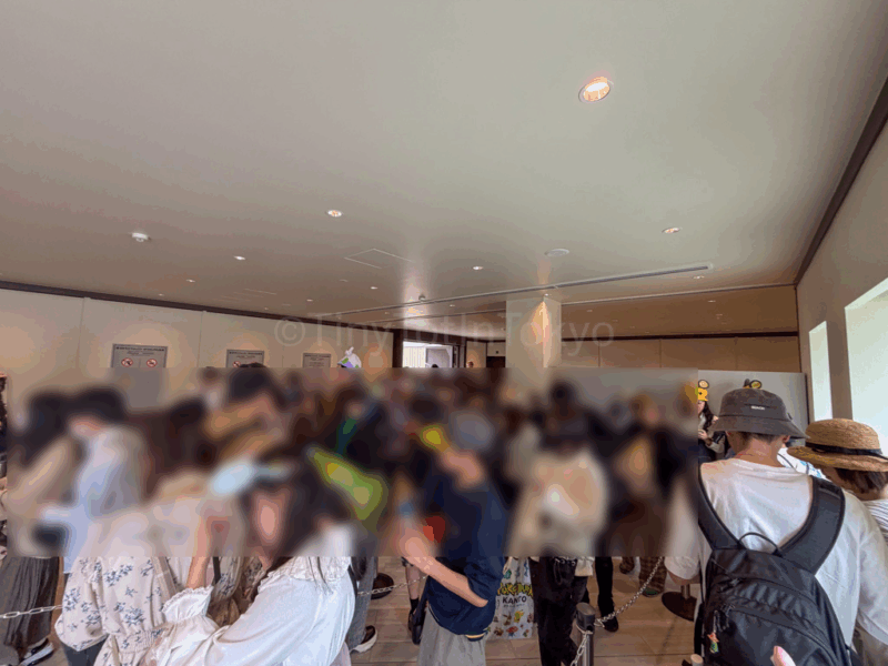 line to get into pokemon forest at pokepark kanto