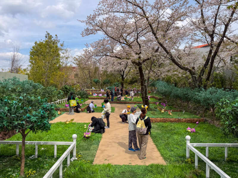 Pokemon Forest at pokepark kanto