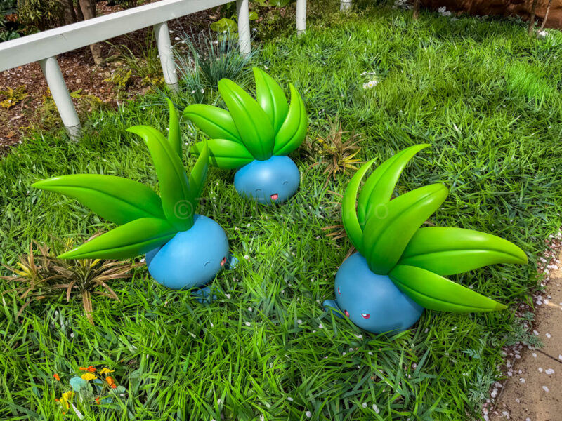 oddish at pokemon forest in pokepark kanto