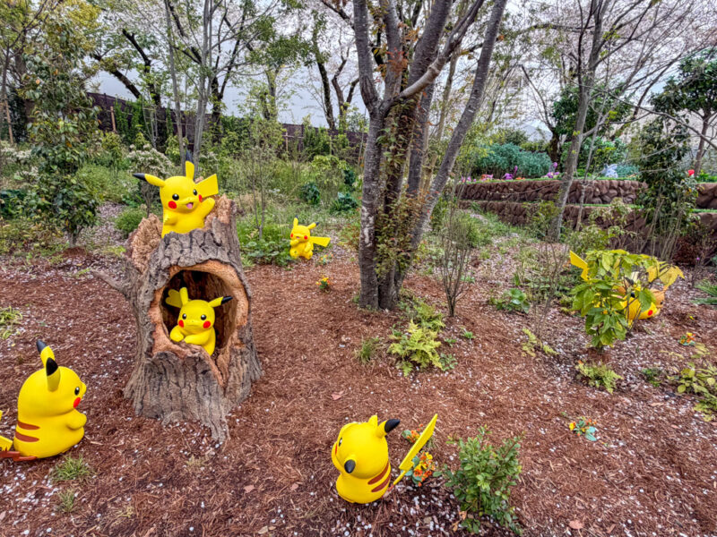 Pikachu in Pokemon Forest at pokepark kanto