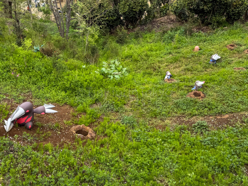 drilbur at pokemon forest at pokepark kanto