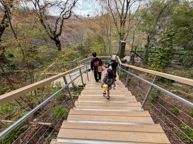 stairs at pokemon forest at pokepark kanto