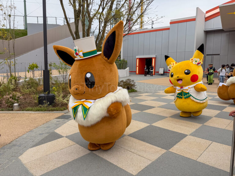 eevee and pikachu at pokepark kanto