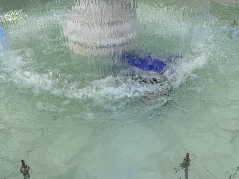a child finding water pokemon at pokepark kanto