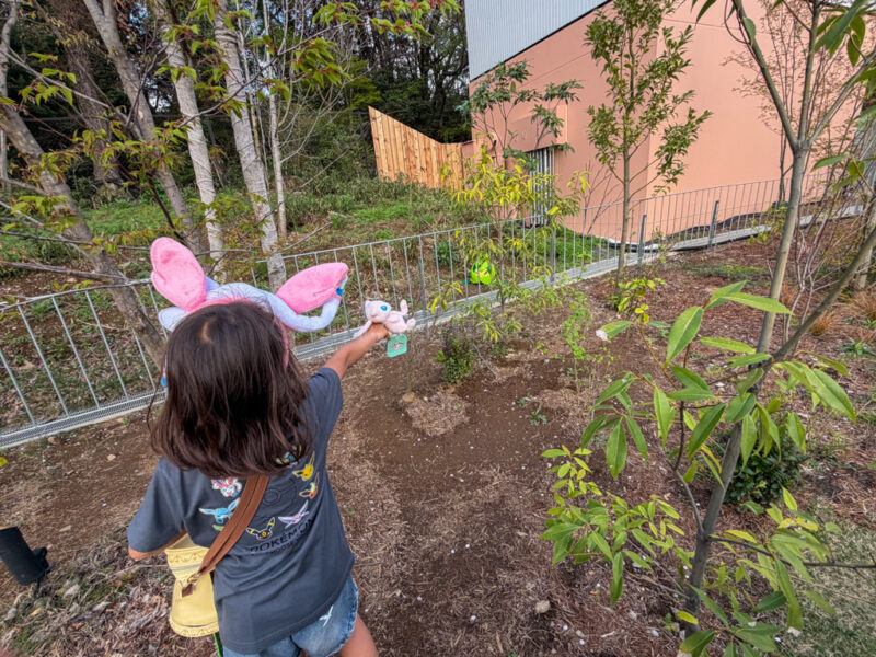 a child pointing at pokemon at pokepark kanto