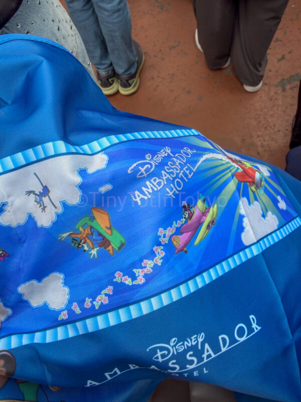 reusable bag from disney ambassador hotel