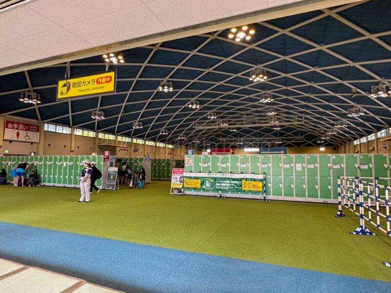 locker area and showers at Nagashima Waterpark Jumbo Seawater Pool.