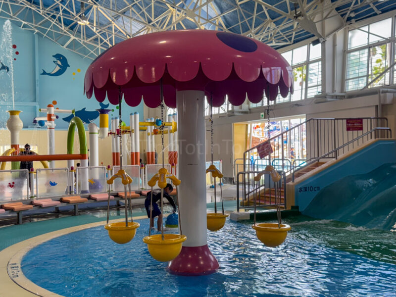 water swings at Nagashima Water Park Jumbo Saltwater Pool