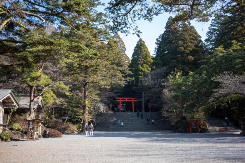 the tori gate for kirishima shrine in kagoshima