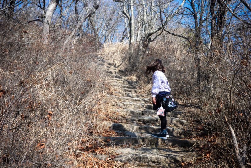 a child hiking in kagoshima