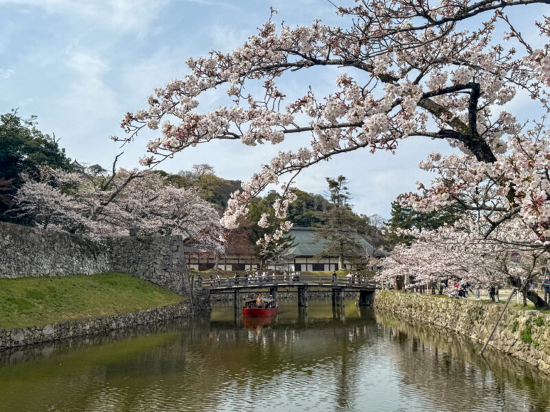 canal around hikone castle
