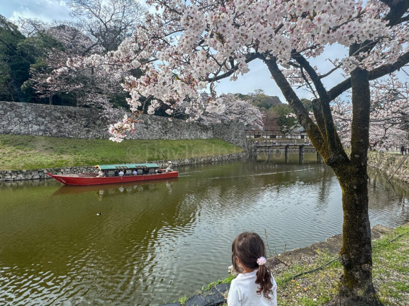 a child looking at a boat at hikone castle