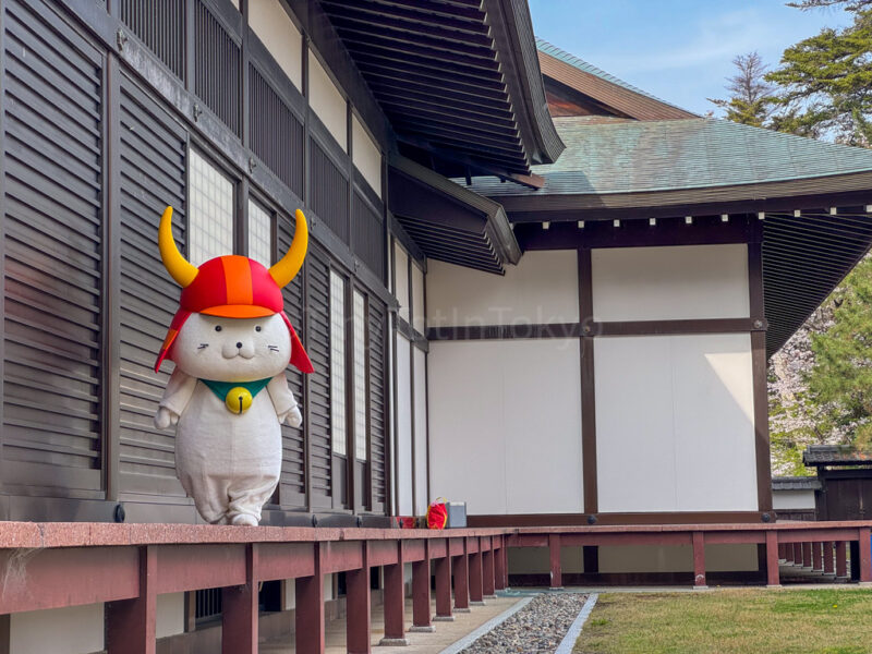 hikonyan at hikone castle
