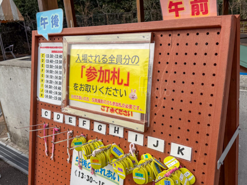petting zoo at hirakawa zoo in kagoshima