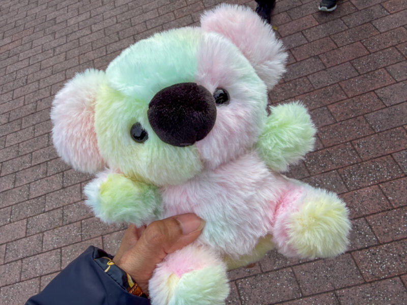 rainbow koala raffle at hirakawa zoo in kagoshima