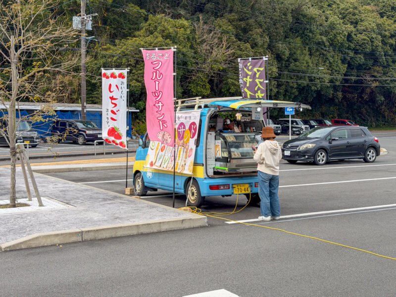 fruit sandwiches near lake ikeda in kagoshima
