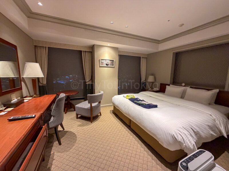 double room with sakurajima view at Shiroyama hotel kagoshima