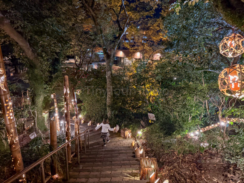 garden at Shiroyama hotel kagoshima