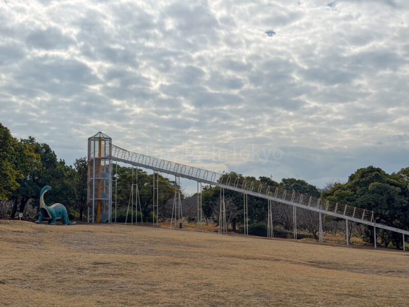 roller slide at Sakurajima Natural Dinosaur Park.