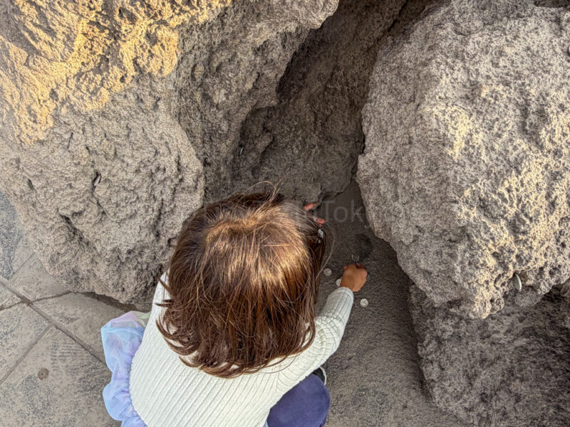 a child putting coins in lava rocks at Arimura Lava Observation Deck in Sakurajima