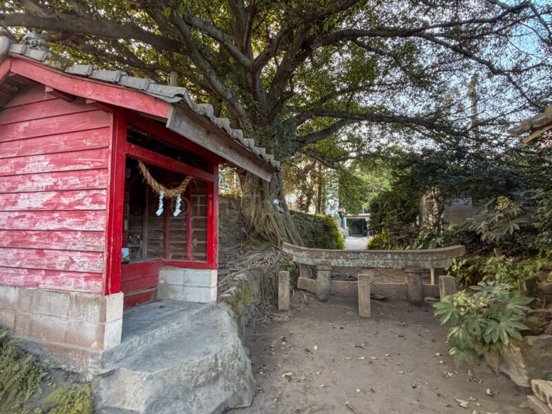 Kurokami Torii in sakurajima