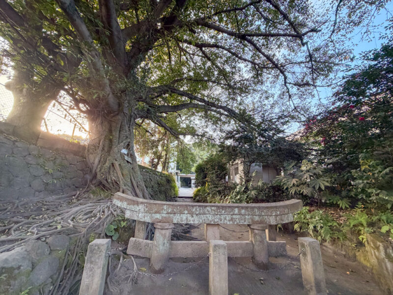 Kurokami Torii in sakurajima