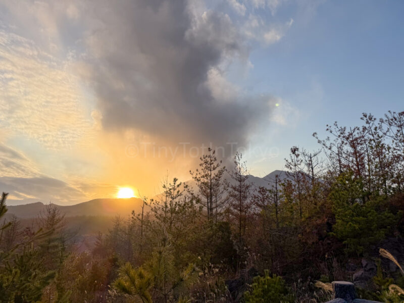 view from lava field from the eruption in 1946 in sakurajima
