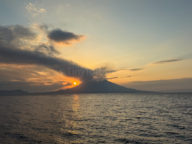 sakurajima at sunset