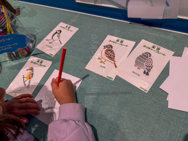 a child coloring birds at Takachihogawara in Kagoshima