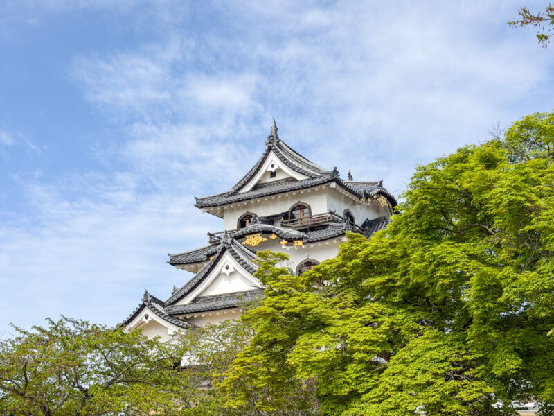 Hikone Castle in Shiga