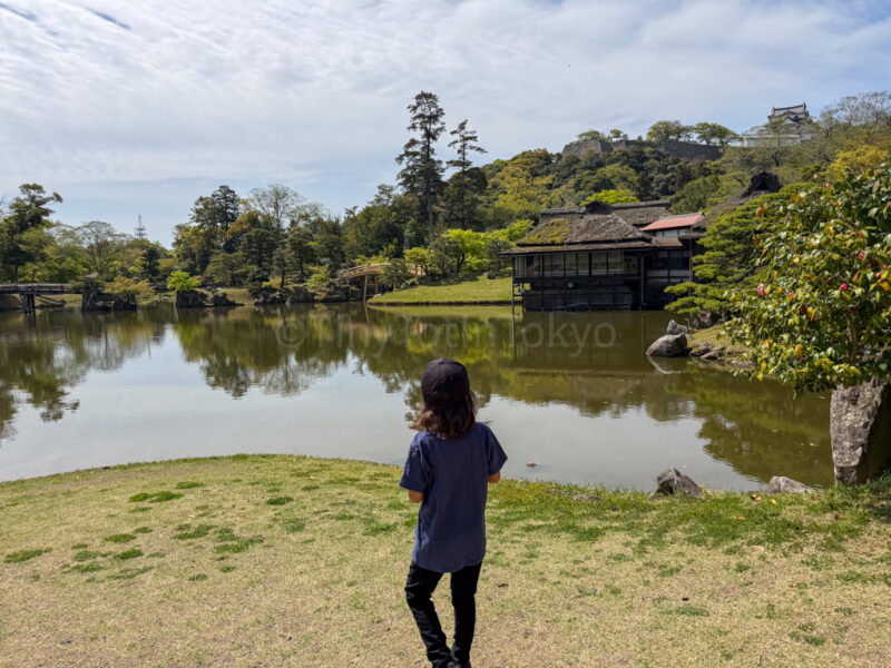 a child in genyuen garden at Hikone Castle in Shiga