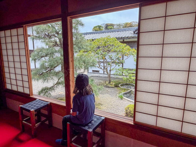 a child looking at the garden at Hikone Castle Museum