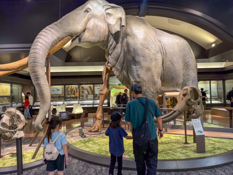 a child and parent at Lake Biwa Museum in Shiga