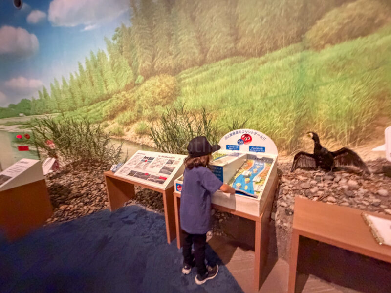 A child learning at lake biwa museum
