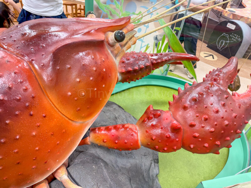 play area inside lake biwa museum