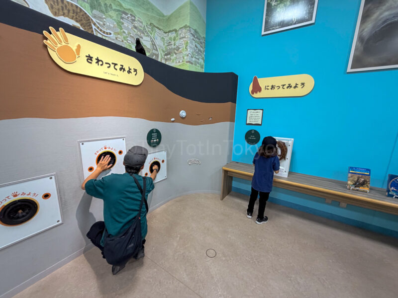 a child and parent inside a play area at lake biwa museum