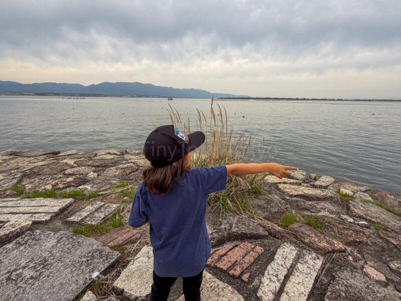 a child looking at lake biwa at lake biwa museum