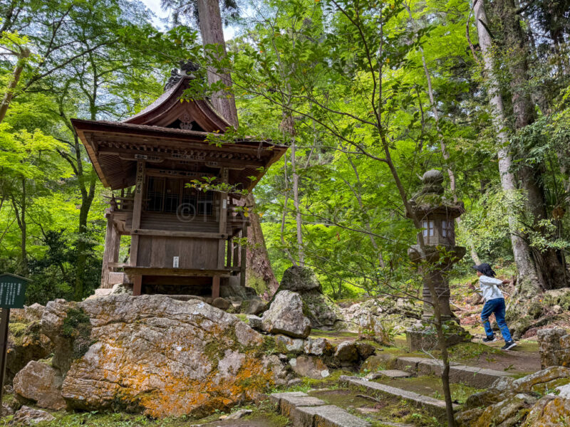 a child at Ishiyamadera in Shiga
