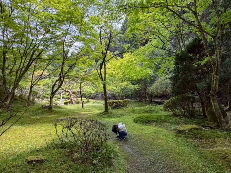 A child looking at nature in Ishiyamadera in Shiga