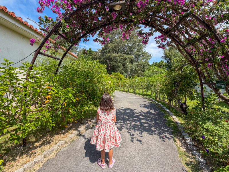 a child walking among flowers in fusaki beach resort ishigaki