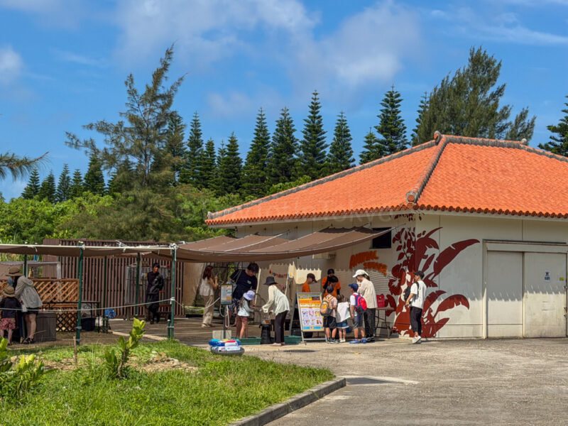 animal square at fusaki beach resort ishigaki