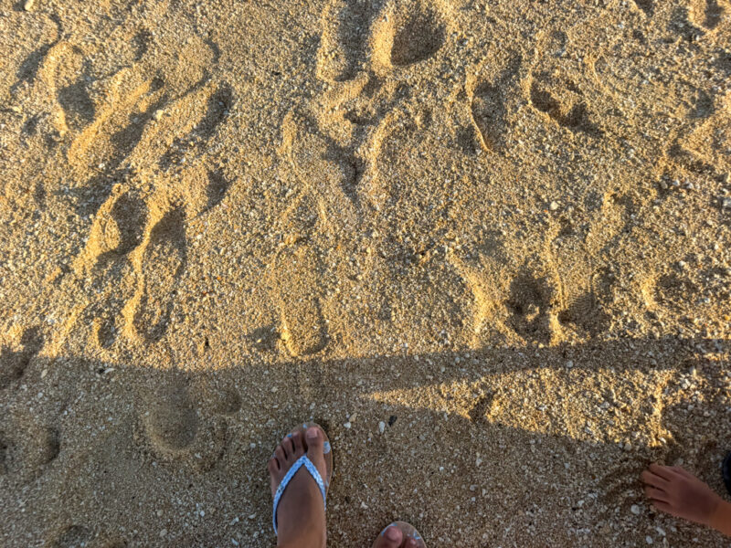 sand at maesato beach at ANA InterContinental Ishigaki Resort