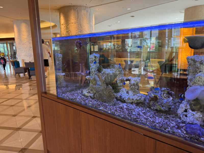 aquarium in lobby at ANA InterContinental Ishigaki Resort